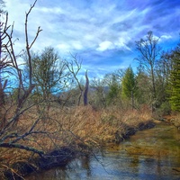 Spoppy Hikes