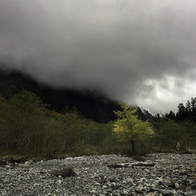 Autumn Camping in the Pacific Northwest