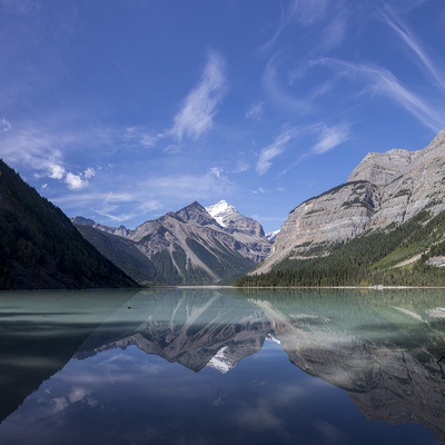 robertrides's avatar