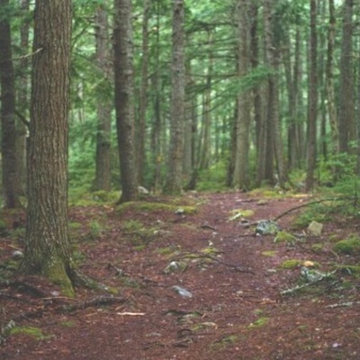 Liberty Lake Hike, Kejimkujik National Park