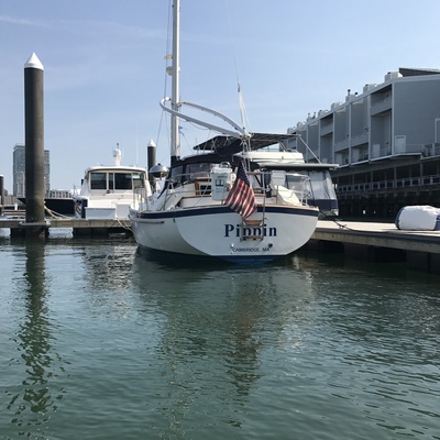 midniteramblr's avatar