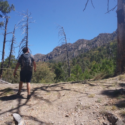 Madera Canyon: The long way