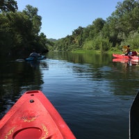 Russian River Kayak Friday